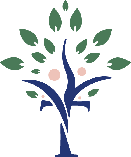 Visión Trascendental